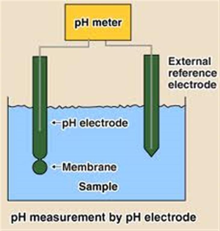 ELECTRODO PH