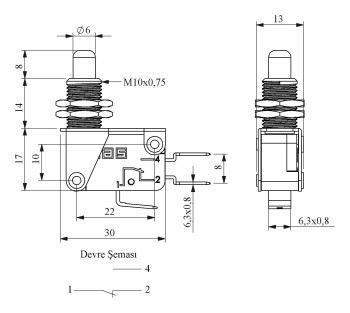MICRORRUPTOR PLASTICO CON EMBOLO METALICO