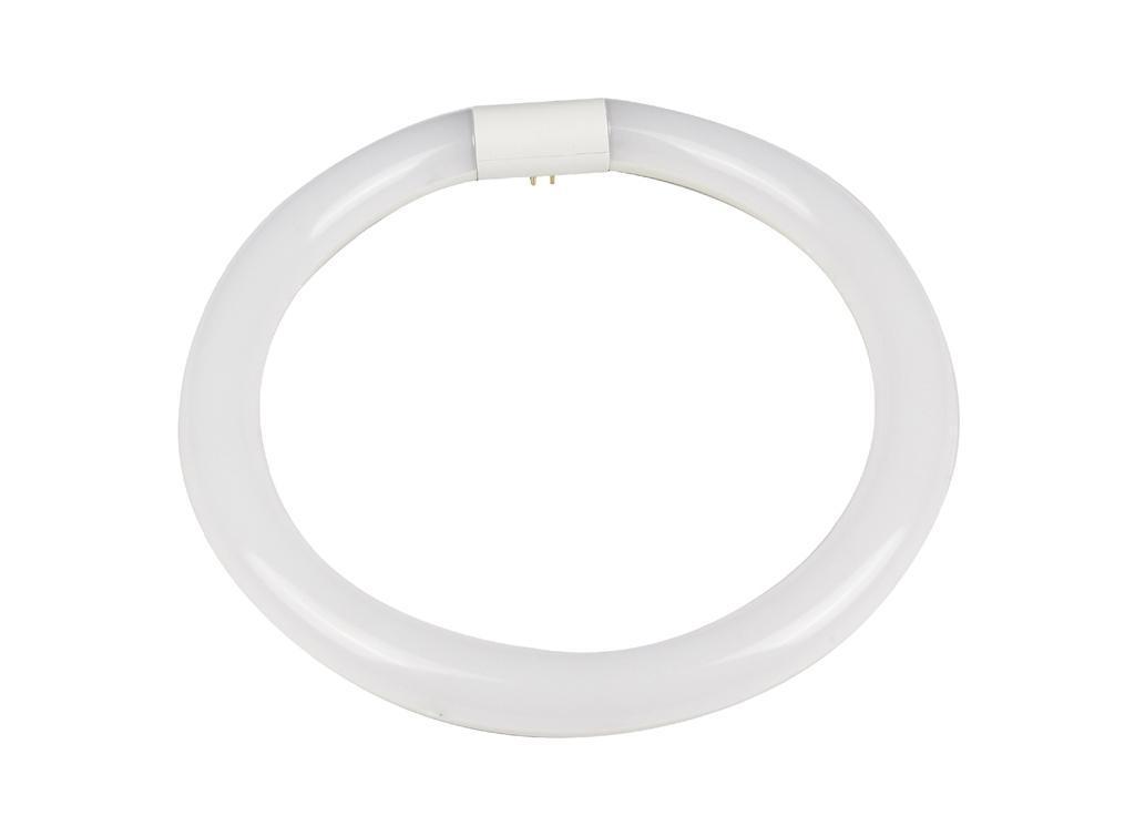 TUBO LED CIRCULAR 15W 6500K