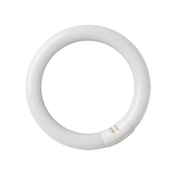 TUBO LED CIRCULAR 18W 6500K